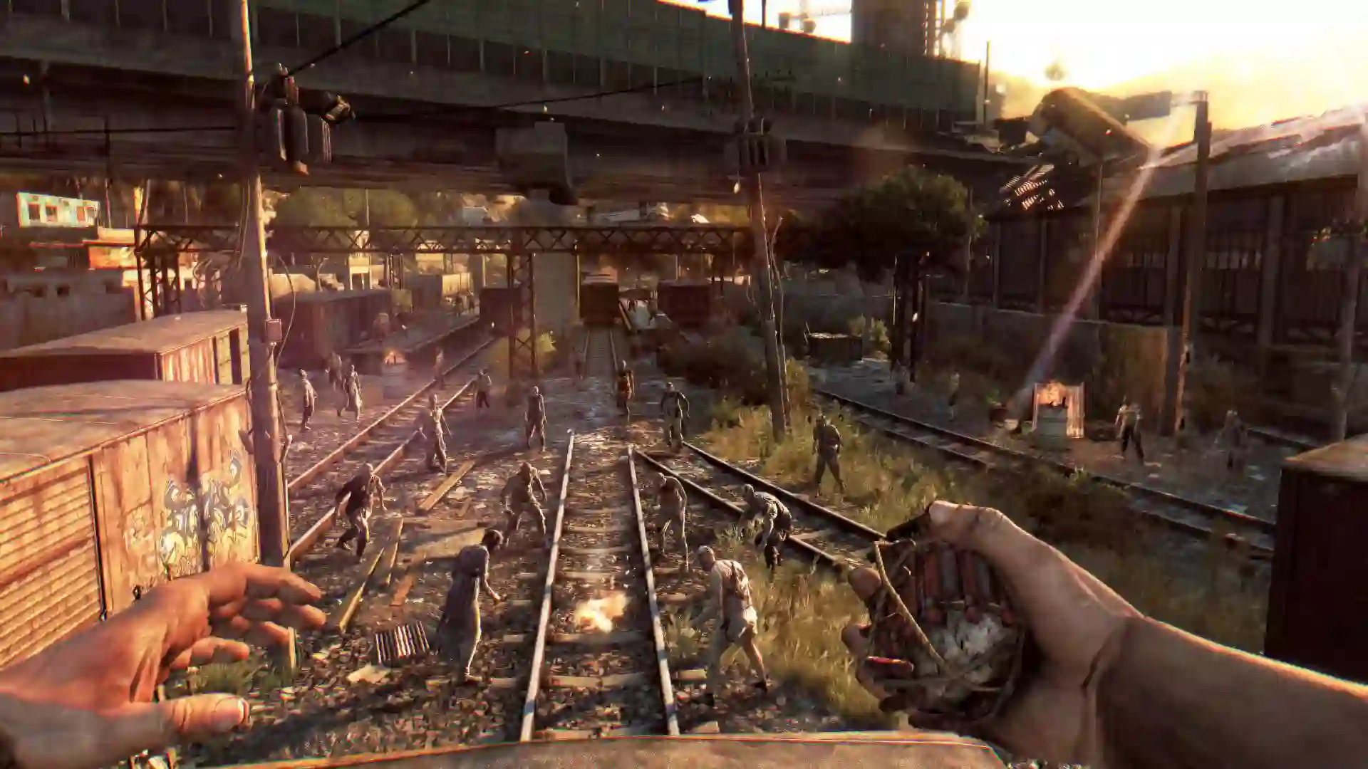 Dying Light1 (2)