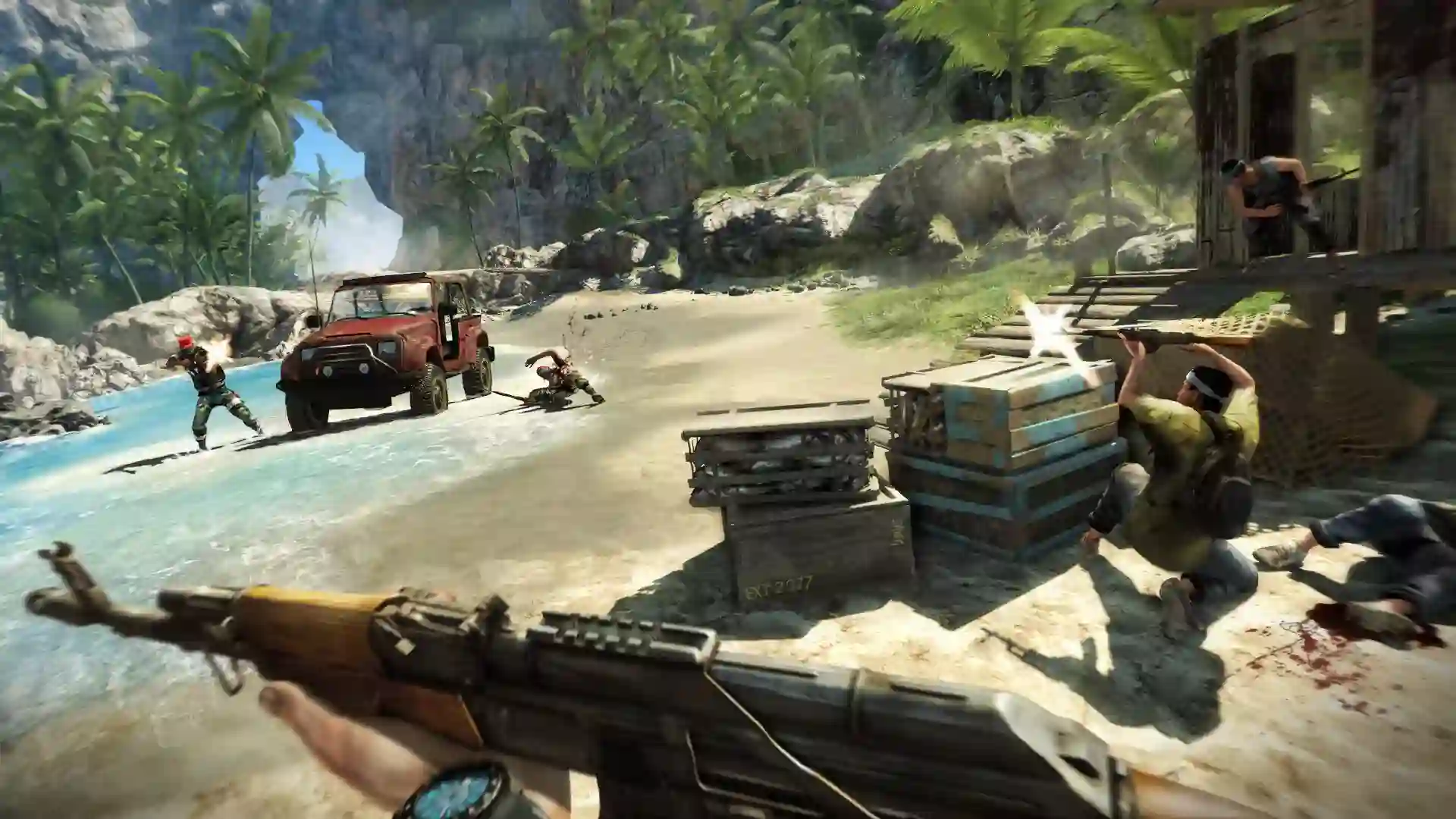 Far Cry 32 (1)
