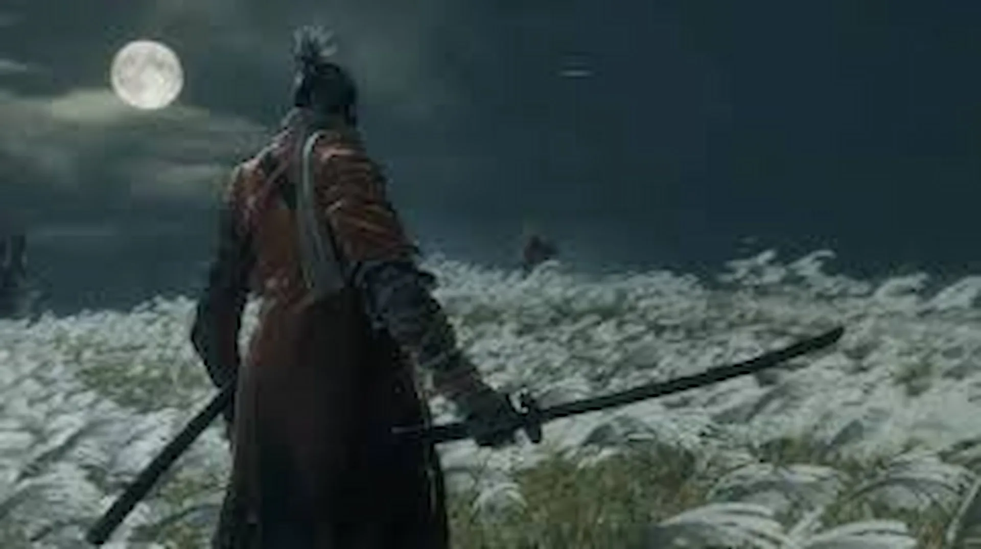 Sekiro Shadows Die Twice (5)