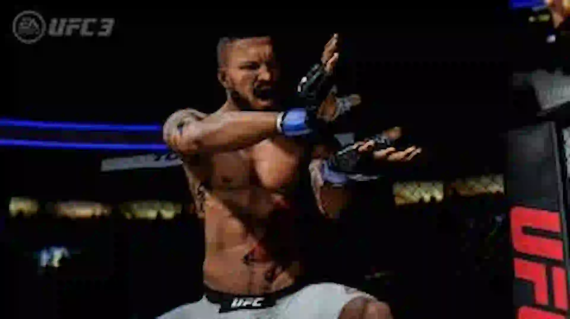 UFC 3