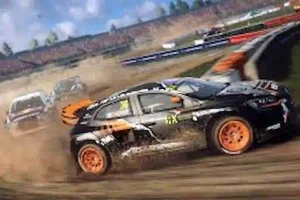 DiRT Rally (4)