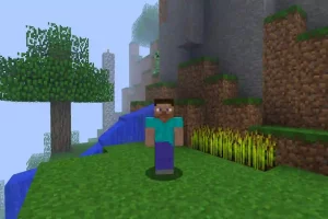 Minecraft (6)